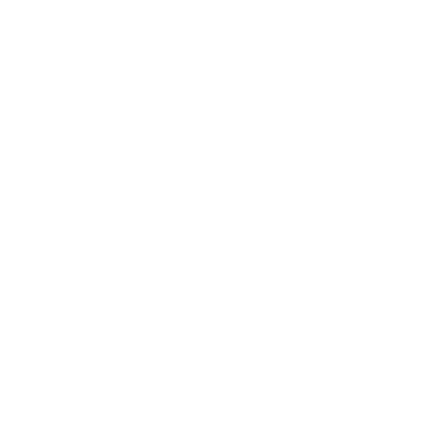 Dakar Rally
